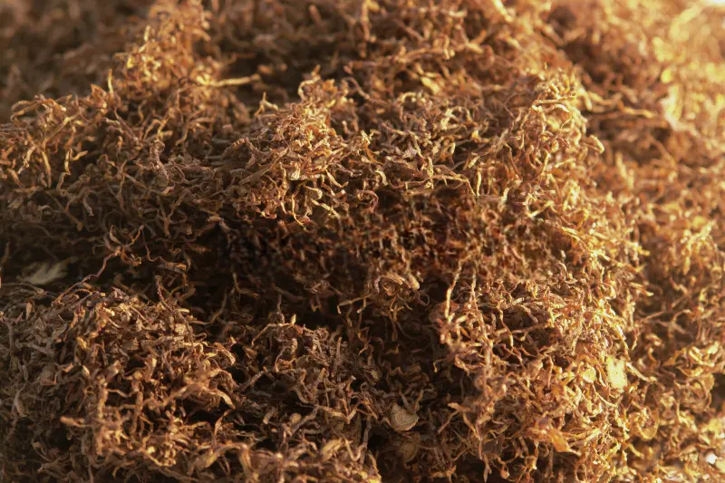 Tutun Firicel – 0.1 mm